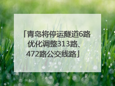 青岛将停运隧道6路 优化调整313路、472路公交线路