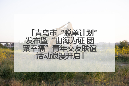青岛市“脱单计划”发布暨“山海为证 团聚幸福”青年交友联谊活动浪漫开启