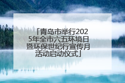 青岛市举行2025年全市六五环境日暨环保世纪行宣传月活动启动仪式