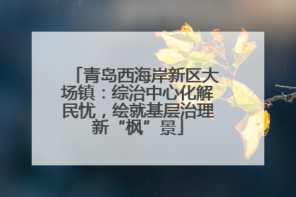 青岛西海岸新区大场镇：综治中心化解民忧，绘就基层治理新“枫”景