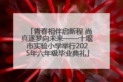 青春相伴启新程 尚真逐梦向未来——十堰市实验小学举行2025年六年级毕业典礼