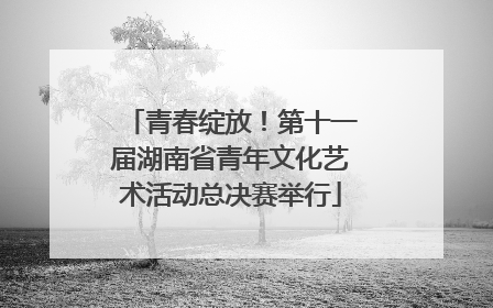 青春绽放！第十一届湖南省青年文化艺术活动总决赛举行