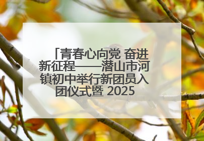 青春心向党 奋进新征程——潜山市河镇初中举行新团员入团仪式暨 2025年度团员大会
