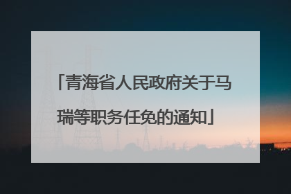 青海省人民政府关于马瑞等职务任免的通知