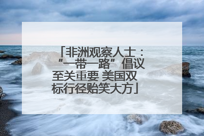 非洲观察人士：“一带一路”倡议至关重要 美国双标行径贻笑大方