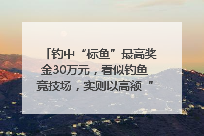 钓中“标鱼”最高奖金30万元，看似钓鱼竞技场，实则以高额“回报”作“饵”……｜今晚九点半
