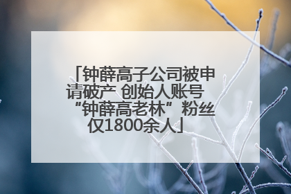 钟薛高子公司被申请破产 创始人账号“钟薛高老林”粉丝仅1800余人
