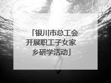 银川市总工会开展职工子女家乡研学活动
