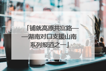 铺就高原共富路——湖南对口支援山南系列报道之一
