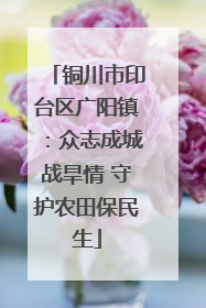 铜川市印台区广阳镇：众志成城战旱情 守护农田保民生