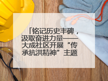 铭记历史丰碑，汲取奋进力量——大成社区开展“传承抗洪精神”主题党日活动