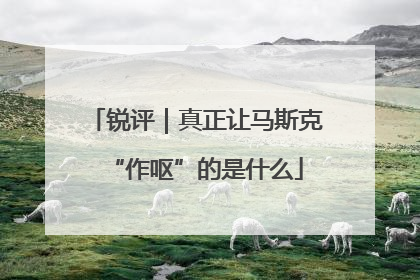 锐评｜真正让马斯克“作呕”的是什么