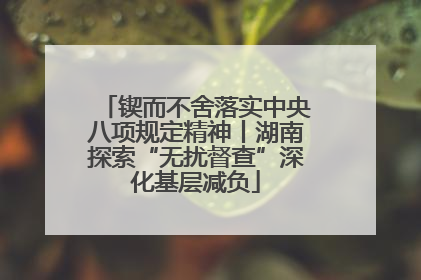 锲而不舍落实中央八项规定精神丨湖南探索“无扰督查”深化基层减负
