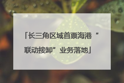 长三角区域首票海港“联动接卸”业务落地