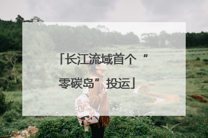长江流域首个“零碳岛”投运