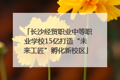 长沙经贸职业中等职业学校15亿打造“未来工匠”孵化新校区