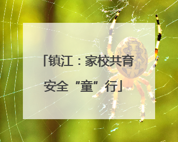 镇江：家校共育 安全“童”行