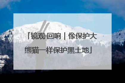 镜观·回响｜像保护大熊猫一样保护黑土地