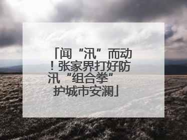 闻“汛”而动！张家界打好防汛“组合拳” 护城市安澜