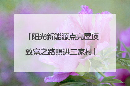 阳光新能源点亮屋顶 致富之路照进三家村