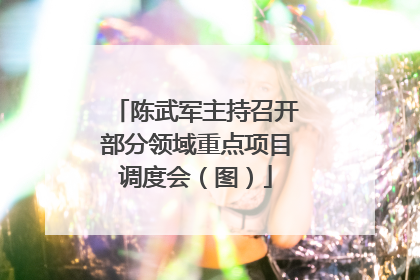 陈武军主持召开部分领域重点项目调度会（图）