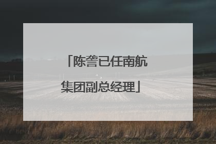 陈詟已任南航集团副总经理