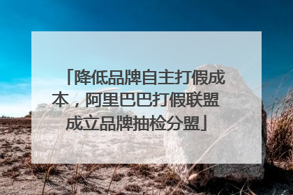 降低品牌自主打假成本，阿里巴巴打假联盟成立品牌抽检分盟