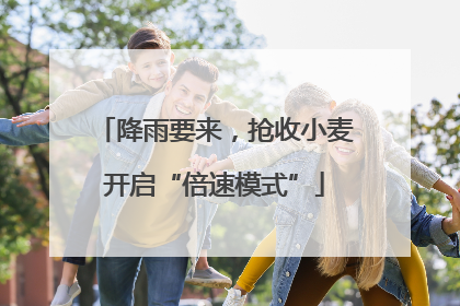 降雨要来，抢收小麦开启“倍速模式”