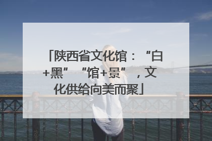陕西省文化馆：“白+黑”“馆+景”，文化供给向美而聚