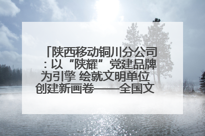 陕西移动铜川分公司：以“陕耀”党建品牌为引擎 绘就文明单位创建新画卷——全国文明单位创建纪实