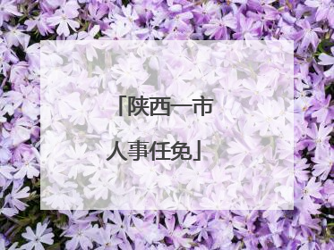 陕西一市人事任免