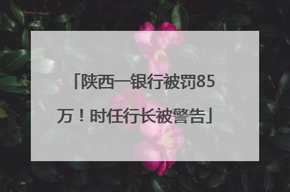 陕西一银行被罚85万！时任行长被警告