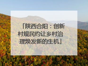陕西合阳：创新村规民约让乡村治理焕发新的生机