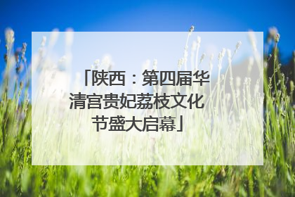 陕西：第四届华清宫贵妃荔枝文化节盛大启幕