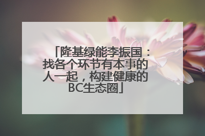 隆基绿能李振国：找各个环节有本事的人一起，构建健康的BC生态圈
