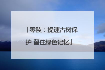 零陵：提速古树保护 留住绿色记忆
