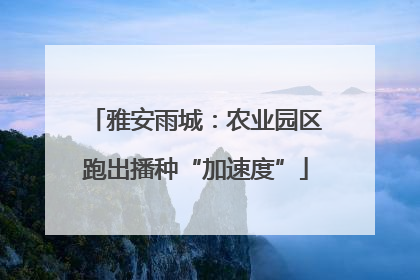 雅安雨城：农业园区跑出播种“加速度”