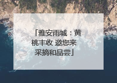 雅安雨城：黄桃丰收 邀您来采摘和品尝
