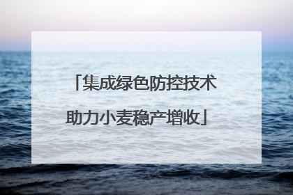 集成绿色防控技术助力小麦稳产增收