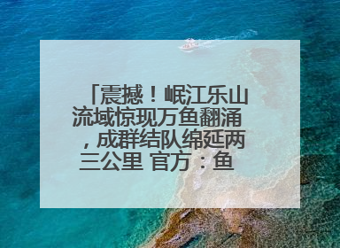 震撼！岷江乐山流域惊现万鱼翻涌，成群结队绵延两三公里 官方：鱼群在此产卵