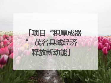 项目“积厚成器” 茂名县域经济释放新动能