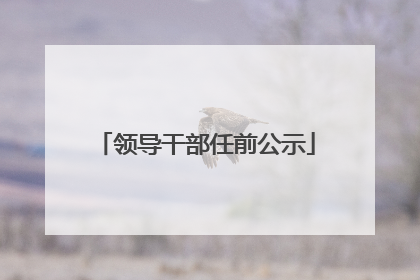 领导干部任前公示