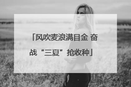 风吹麦浪满目金 奋战“三夏”抢收种