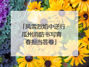 风雪烈焰中逆行 瓜州消防书写青春担当答卷