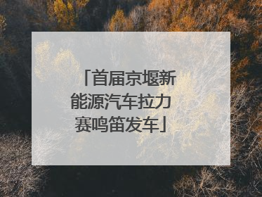 首届京堰新能源汽车拉力赛鸣笛发车