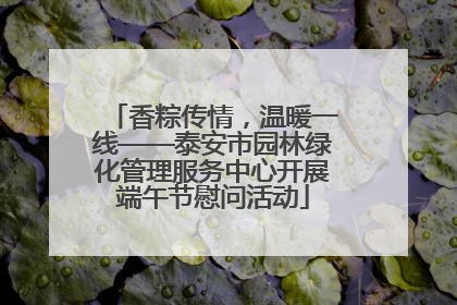 香粽传情，温暖一线——泰安市园林绿化管理服务中心开展端午节慰问活动