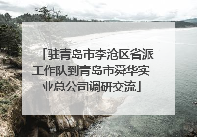 驻青岛市李沧区省派工作队到青岛市舜华实业总公司调研交流