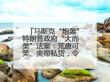 马斯克“炮轰”特朗普政府“大而美”法案：荒唐可笑、夹带私货，令人作呕