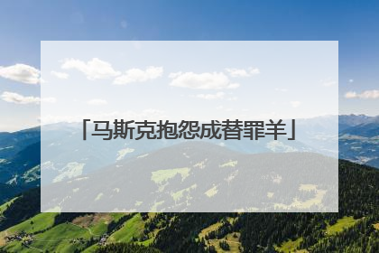 马斯克抱怨成替罪羊