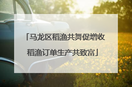 马龙区稻渔共舞促增收 稻渔订单生产共致富